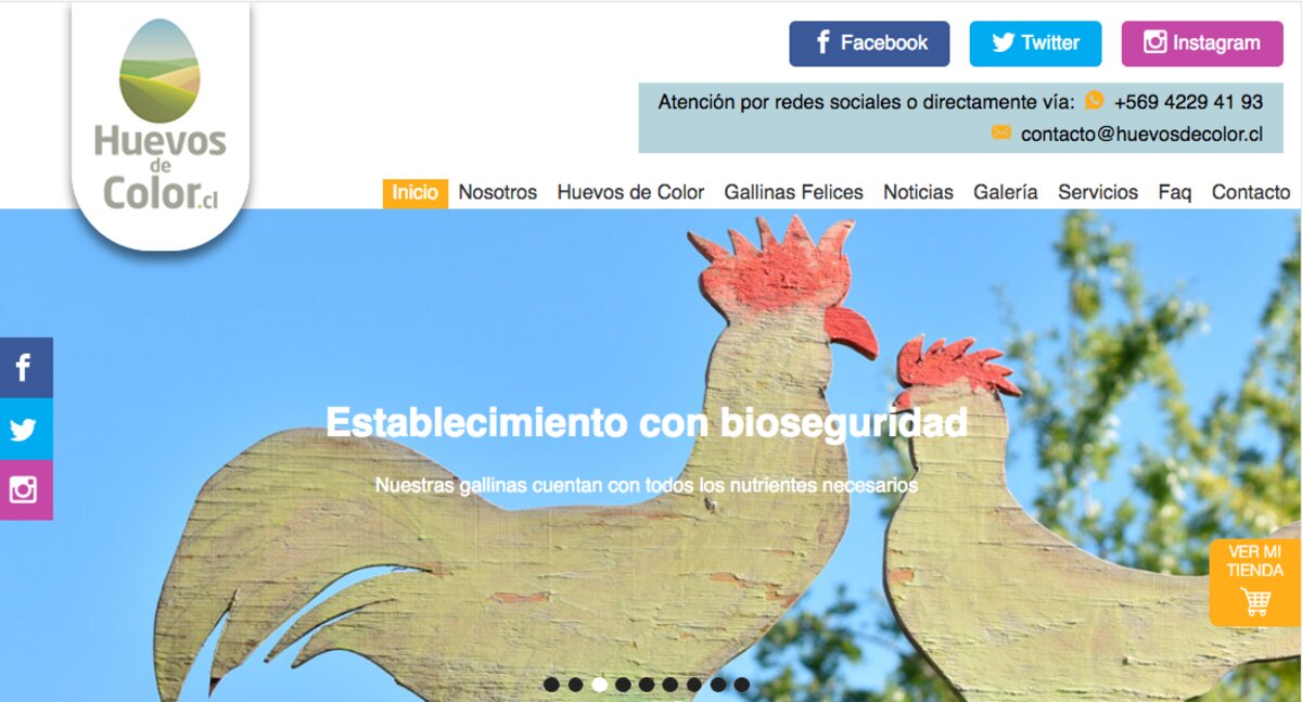 Gallinas libres en chile