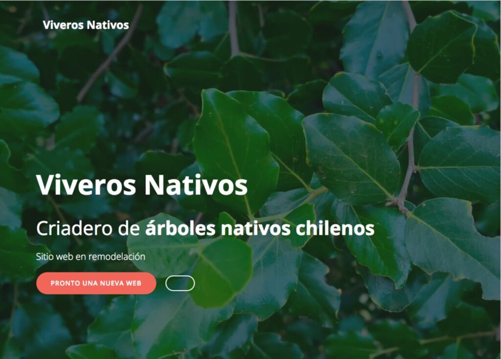 árboles nativos en chile