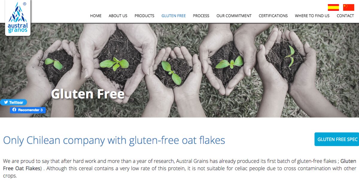 Hojuelas de avena libre de gluten