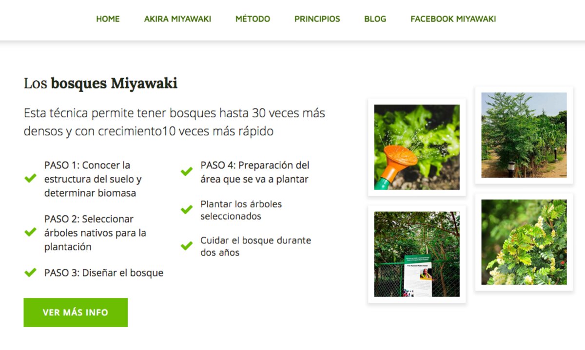 Recuparación de bosques en santiago