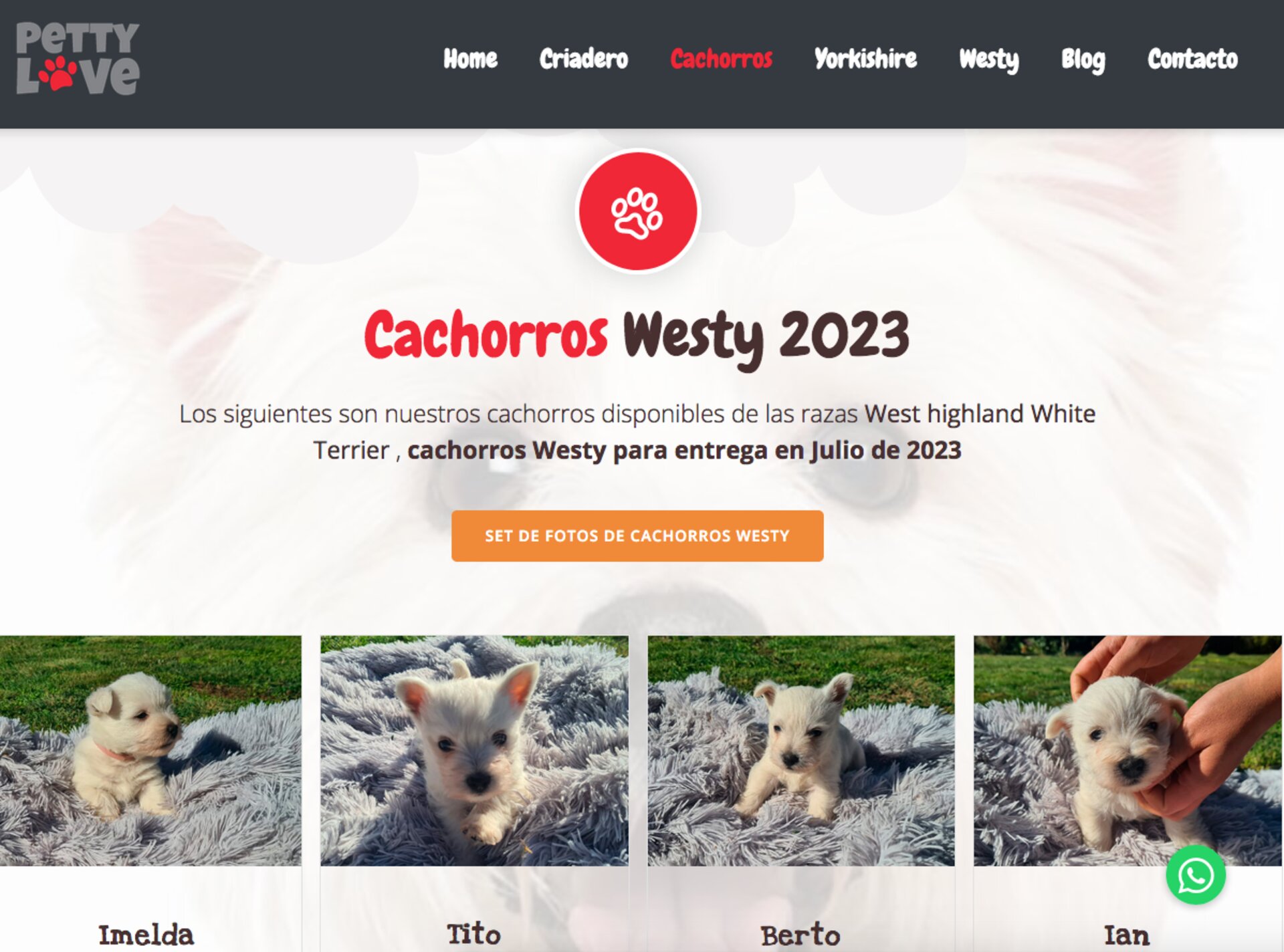 Cridadero de westy en chile